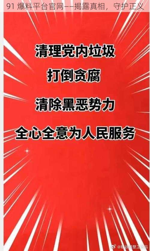 91 爆料平台官网——揭露真相,守护正义
