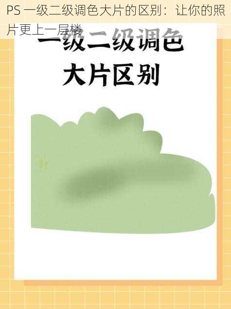 PS 一级二级调色大片的区别:让你的照片更上一层楼