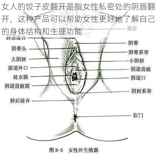 女人的饺子皮翻开是指女性私密处的阴唇翻开,这种产品可以帮助女性更好地了解自己的身体结构和生理功能