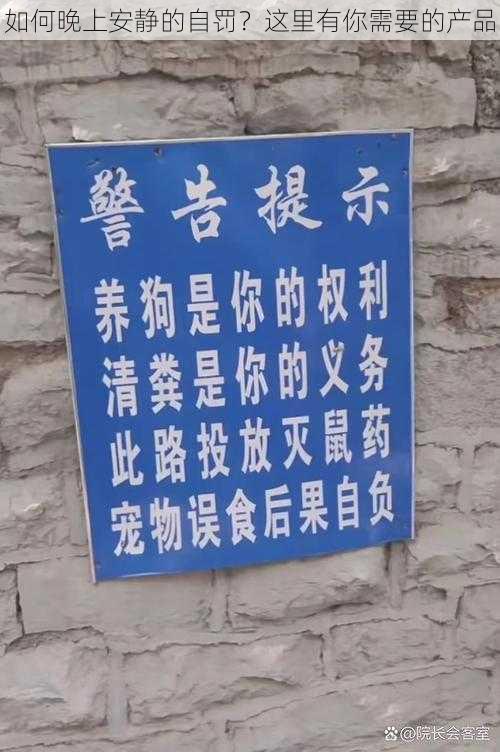 如何晚上安静的自罚?这里有你需要的产品