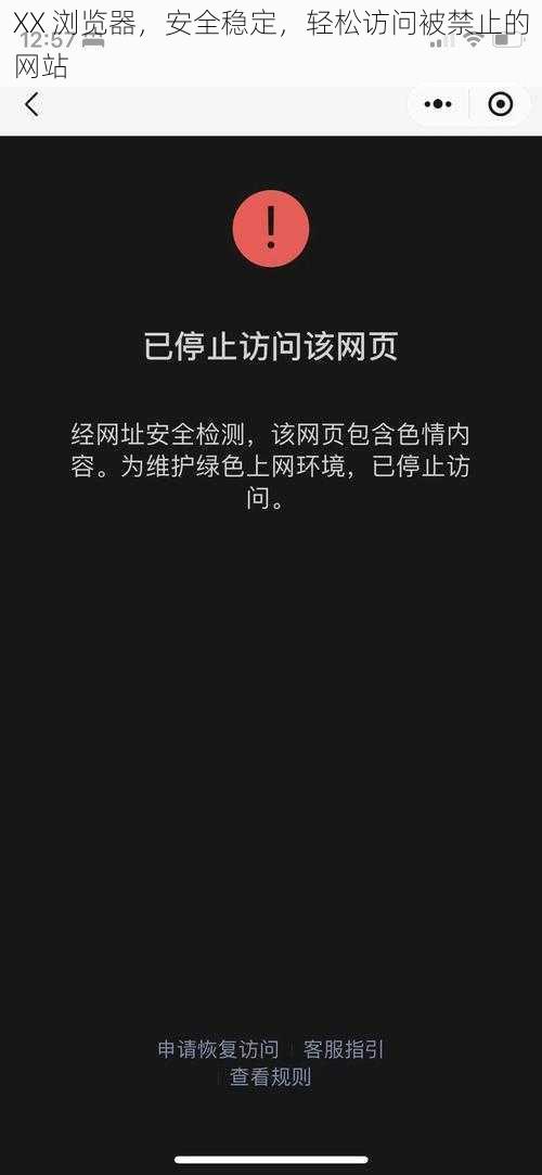 XX 浏览器,安全稳定,轻松访问被禁止的网站