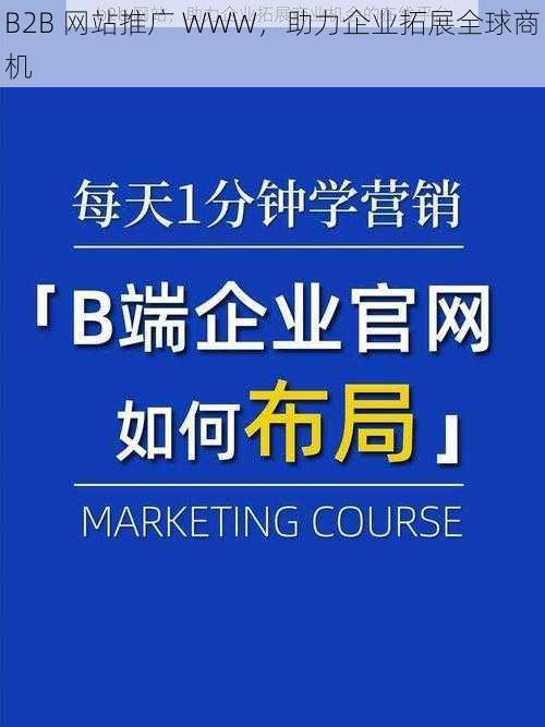 B2B 网站推广 WWW,助力企业拓展全球商机