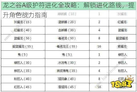 龙之谷A级护符进化全攻略:解锁进化路线,提升角色战力指南