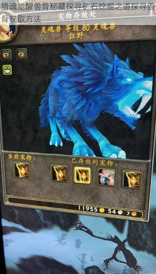猎魂觉醒兽骨秘藏探寻矿石挖掘之道探寻兽骨获取方法
