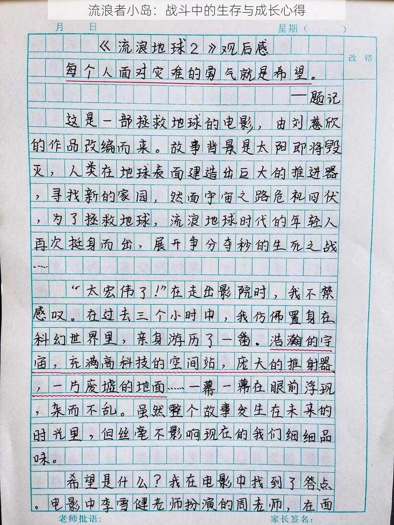 流浪者小岛:战斗中的生存与成长心得