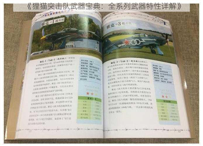 《狸猫突击队武器宝典:全系列武器特性详解》