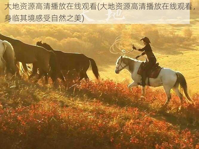 大地资源高清播放在线观看(大地资源高清播放在线观看,身临其境感受自然之美)