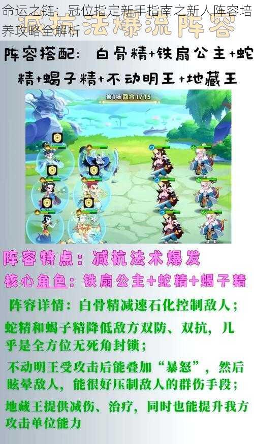 命运之链:冠位指定新手指南之新人阵容培养攻略全解析