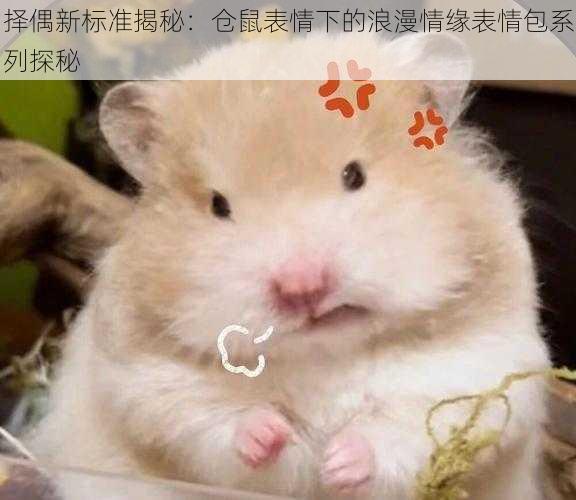 择偶新标准揭秘:仓鼠表情下的浪漫情缘表情包系列探秘