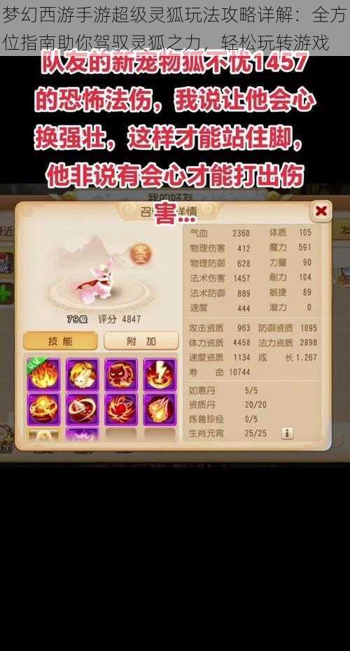 梦幻西游手游超级灵狐玩法攻略详解:全方位指南助你驾驭灵狐之力,轻松玩转游戏