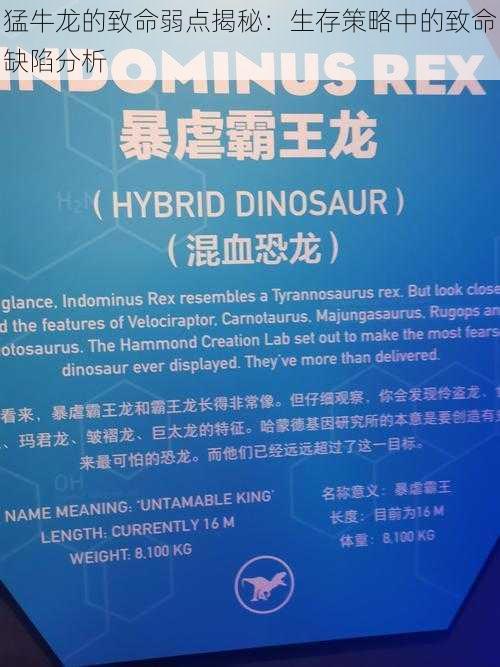 猛牛龙的致命弱点揭秘:生存策略中的致命缺陷分析