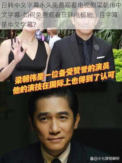 日韩中文字幕永久免费观看电视剧梁朝伟中文字幕-如何免费观看日韩电视剧,且字幕是中文字幕?