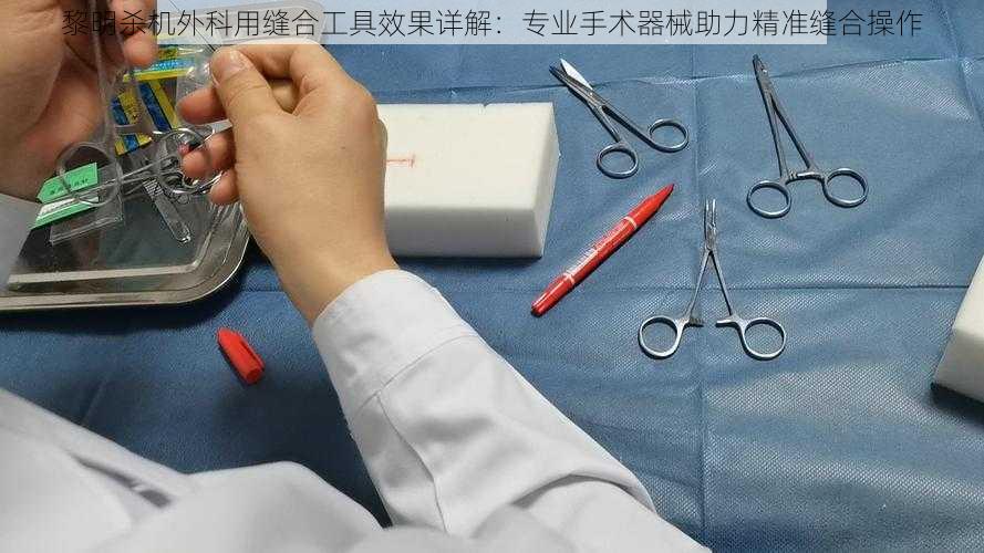 黎明杀机外科用缝合工具效果详解:专业手术器械助力精准缝合操作