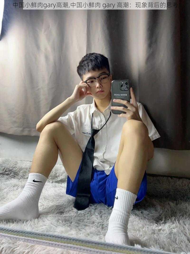 中国小鲜肉gary高潮,中国小鲜肉 gary 高潮:现象背后的思考