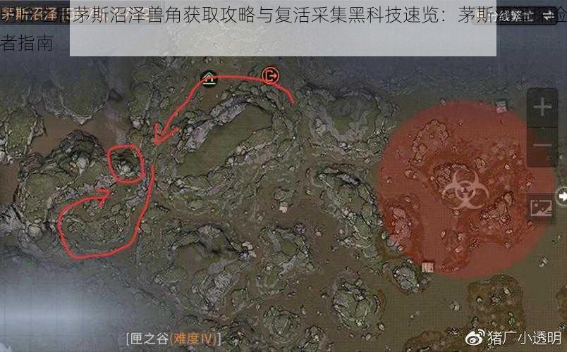 明日之后茅斯沼泽兽角获取攻略与复活采集黑科技速览:茅斯沼泽探险者指南