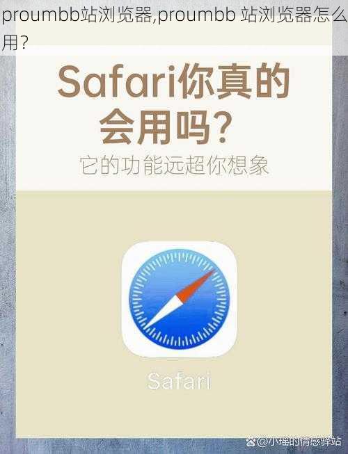 proumbb站浏览器,proumbb 站浏览器怎么用?
