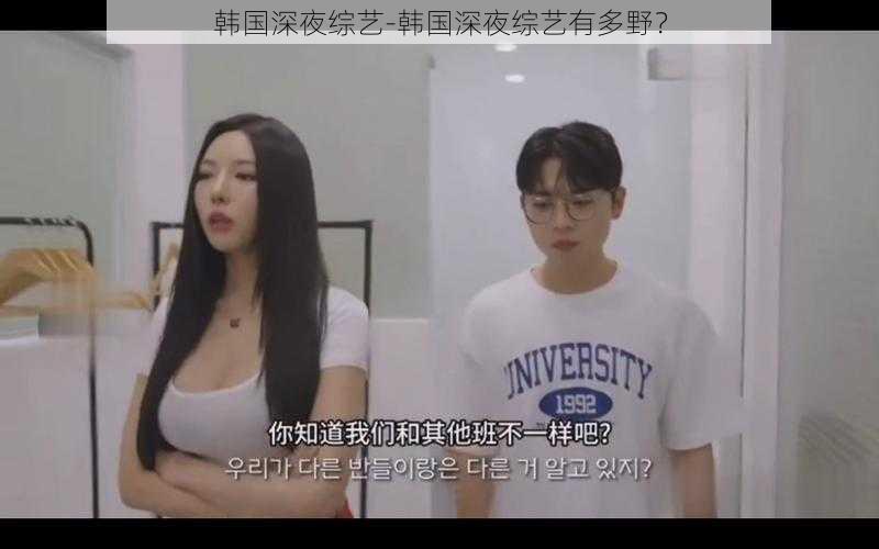 韩国深夜综艺-韩国深夜综艺有多野?
