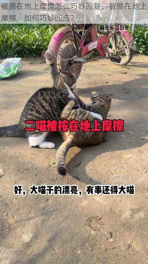 被摁在地上摩擦怎么巧妙回复、被摁在地上摩擦,如何巧妙回应?