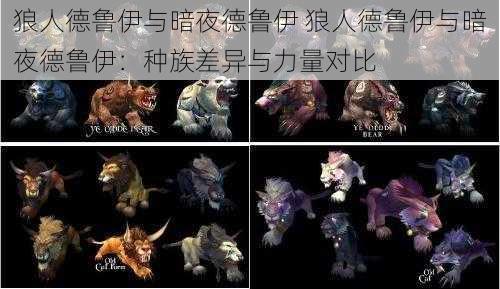 狼人德鲁伊与暗夜德鲁伊 狼人德鲁伊与暗夜德鲁伊:种族差异与力量对比