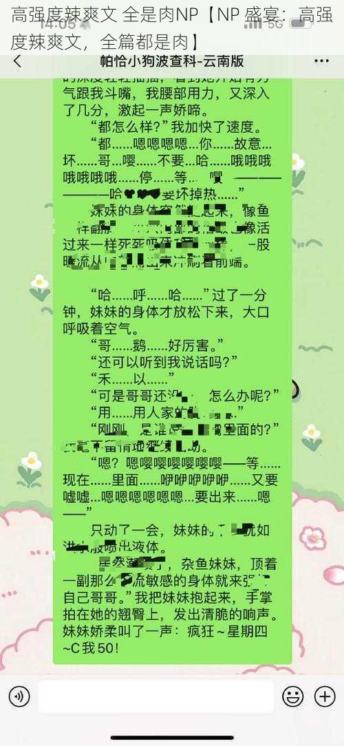 高强度辣爽文 全是肉NP【NP 盛宴:高强度辣爽文,全篇都是肉】