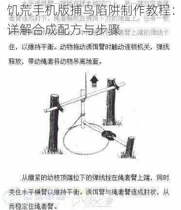 饥荒手机版捕鸟陷阱制作教程:详解合成配方与步骤