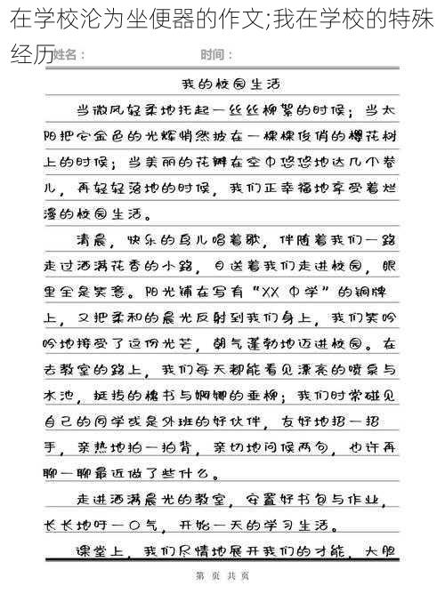 在学校沦为坐便器的作文;我在学校的特殊经历