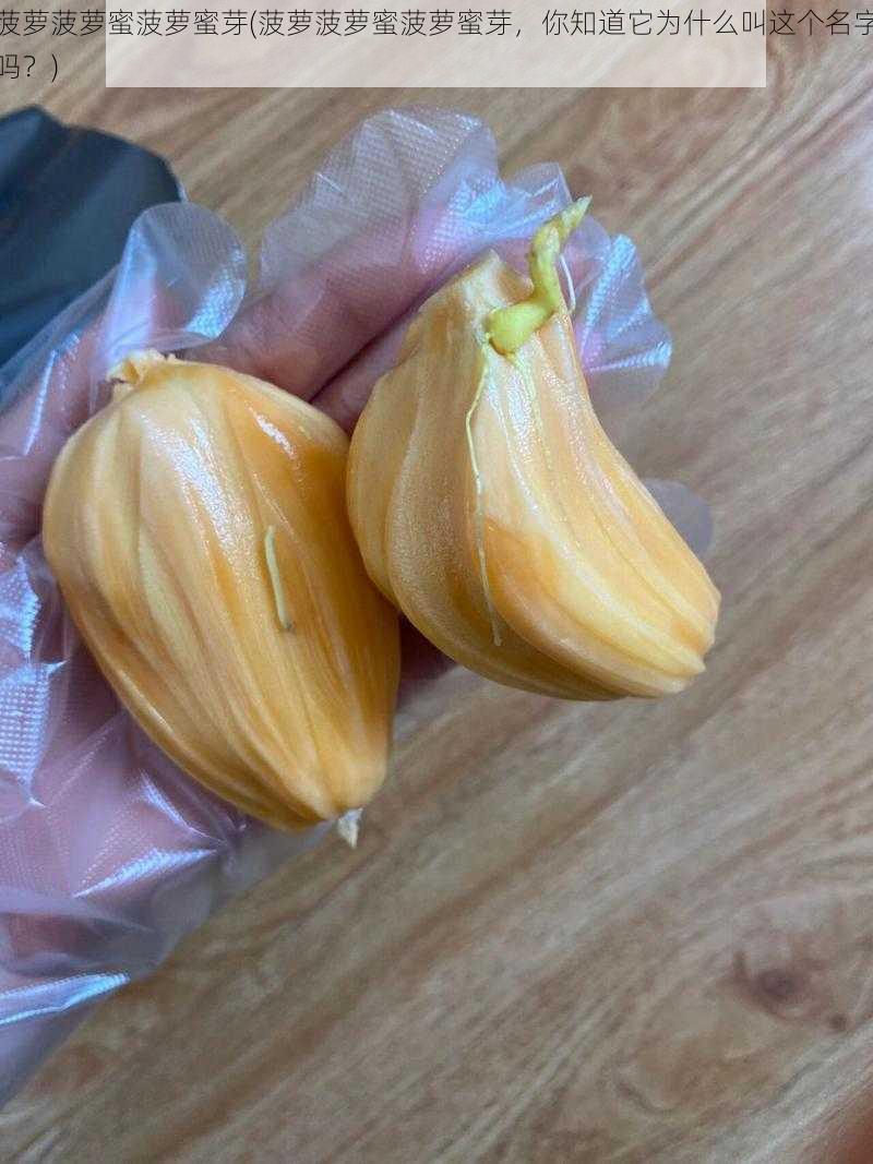 菠萝菠萝蜜菠萝蜜芽(菠萝菠萝蜜菠萝蜜芽,你知道它为什么叫这个名字吗?)