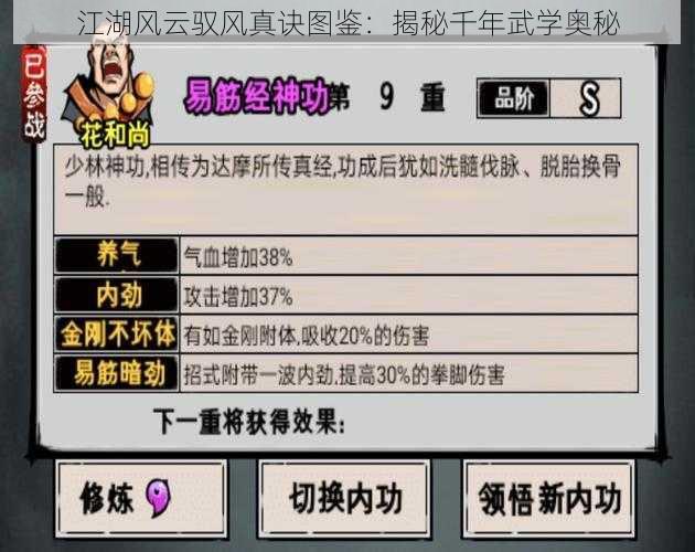 江湖风云驭风真诀图鉴:揭秘千年武学奥秘