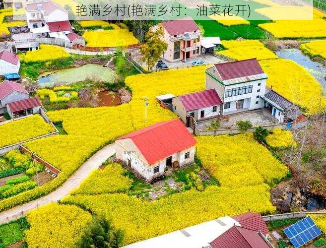 艳满乡村(艳满乡村:油菜花开)