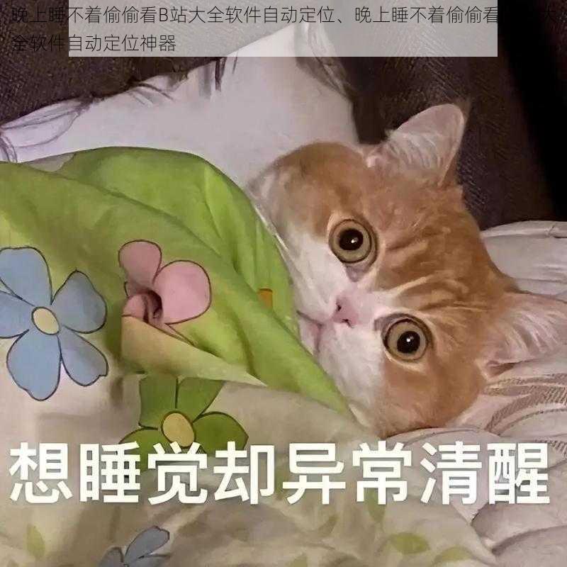 晚上睡不着偷偷看B站大全软件自动定位、晚上睡不着偷偷看 B 站大全软件自动定位神器
