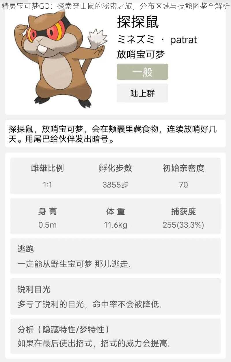 精灵宝可梦GO:探索穿山鼠的秘密之旅,分布区域与技能图鉴全解析