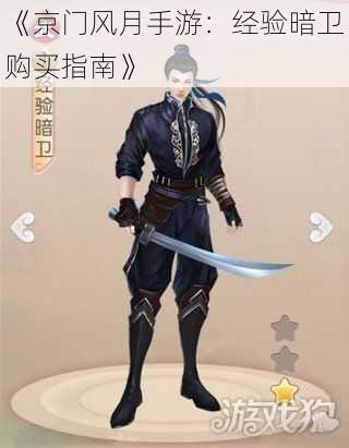 《京门风月手游:经验暗卫购买指南》