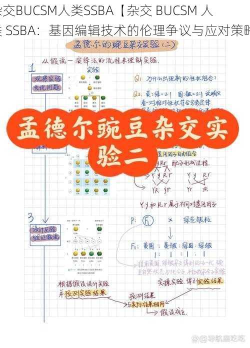 杂交BUCSM人类SSBA【杂交 BUCSM 人类 SSBA:基因编辑技术的伦理争议与应对策略】