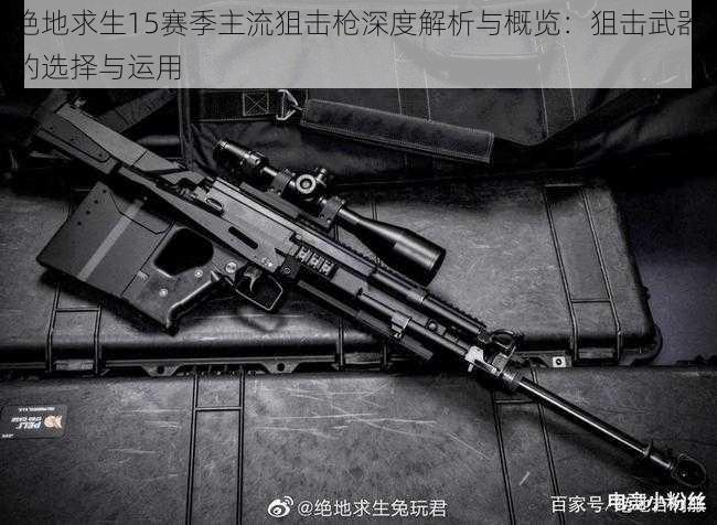 绝地求生15赛季主流狙击枪深度解析与概览:狙击武器的选择与运用