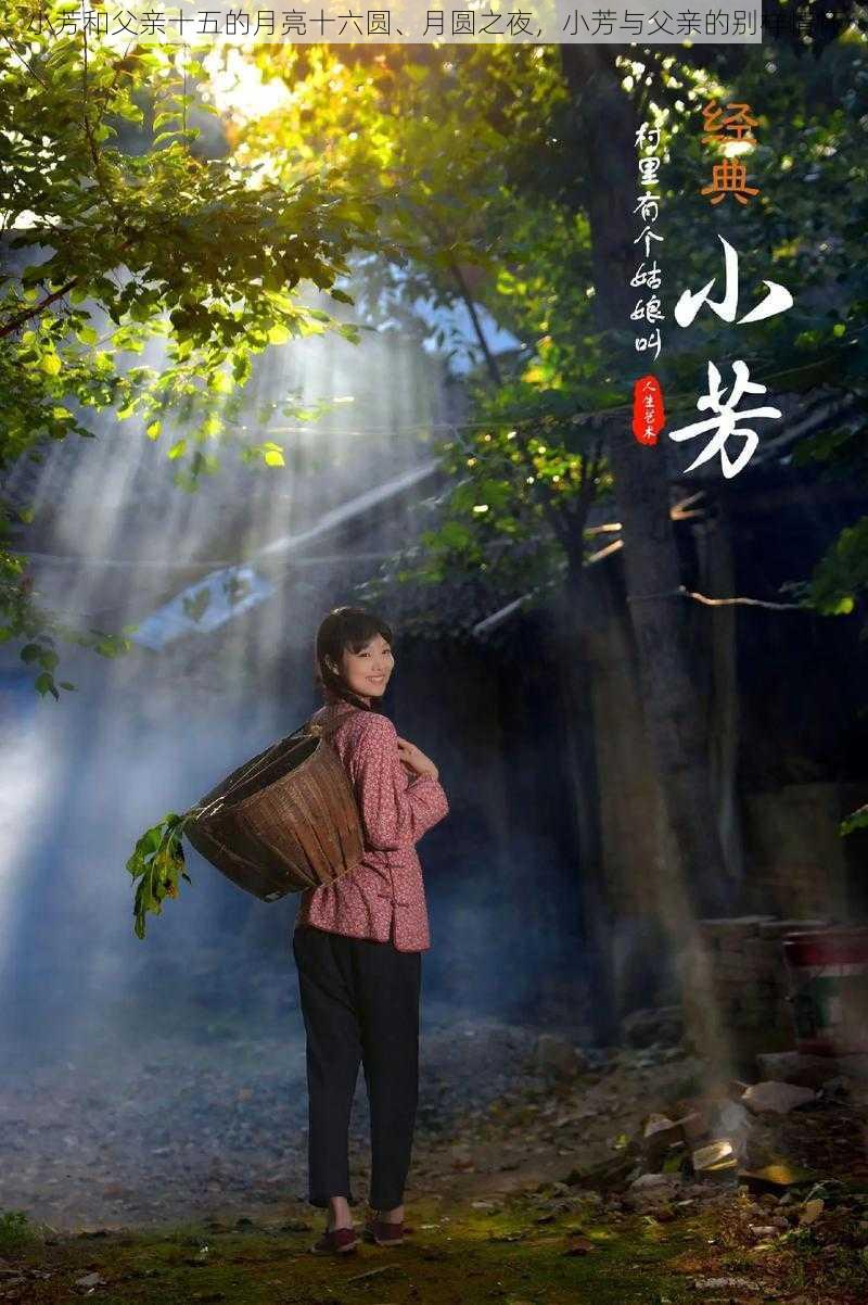 小芳和父亲十五的月亮十六圆、月圆之夜,小芳与父亲的别样情怀