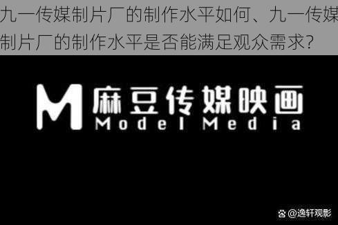 九一传媒制片厂的制作水平如何、九一传媒制片厂的制作水平是否能满足观众需求?