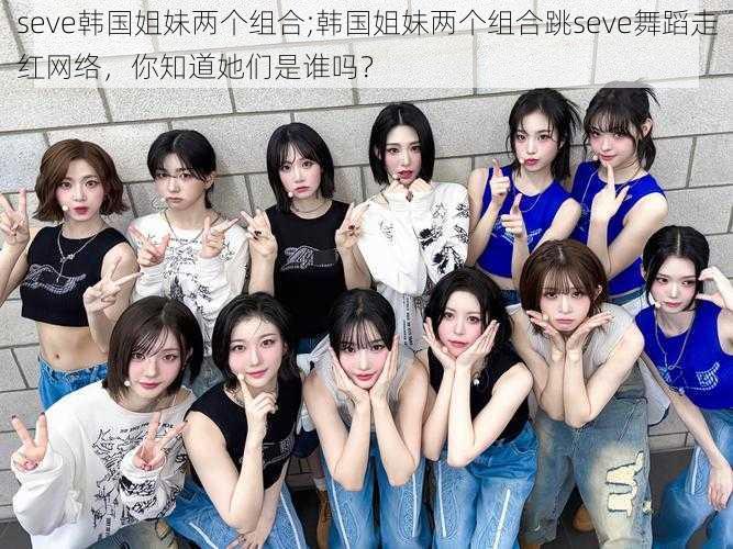 seve韩国姐妹两个组合;韩国姐妹两个组合跳seve舞蹈走红网络,你知道她们是谁吗?