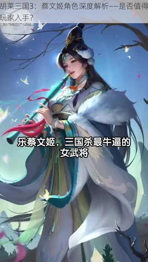 胡莱三国3:蔡文姬角色深度解析——是否值得玩家入手?