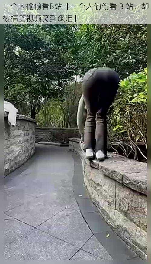 一个人偷偷看B站【一个人偷偷看 B 站,却被搞笑视频笑到飙泪】