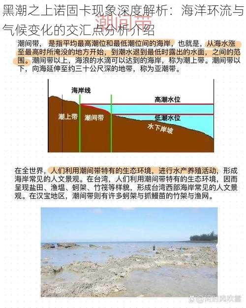 黑潮之上诺固卡现象深度解析:海洋环流与气候变化的交汇点分析介绍