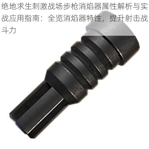 绝地求生刺激战场步枪消焰器属性解析与实战应用指南:全览消焰器特性,提升射击战斗力
