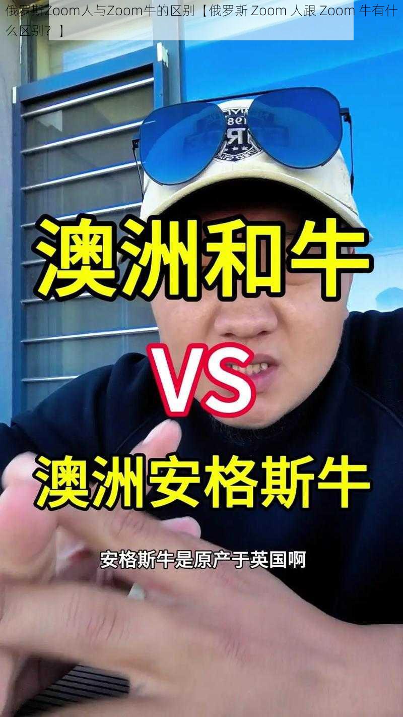 俄罗斯Zoom人与Zoom牛的区别【俄罗斯 Zoom 人跟 Zoom 牛有什么区别?】