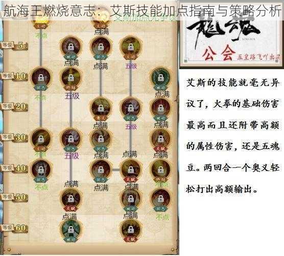 航海王燃烧意志:艾斯技能加点指南与策略分析