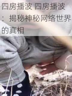 四房播波 四房播波:揭秘神秘网络世界的真相
