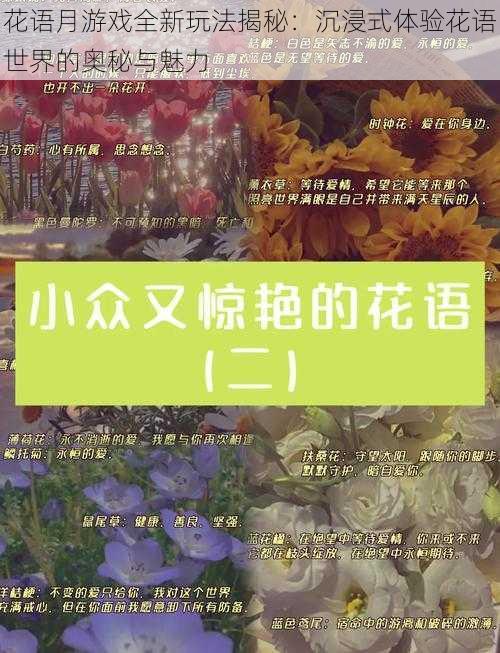 花语月游戏全新玩法揭秘:沉浸式体验花语世界的奥秘与魅力