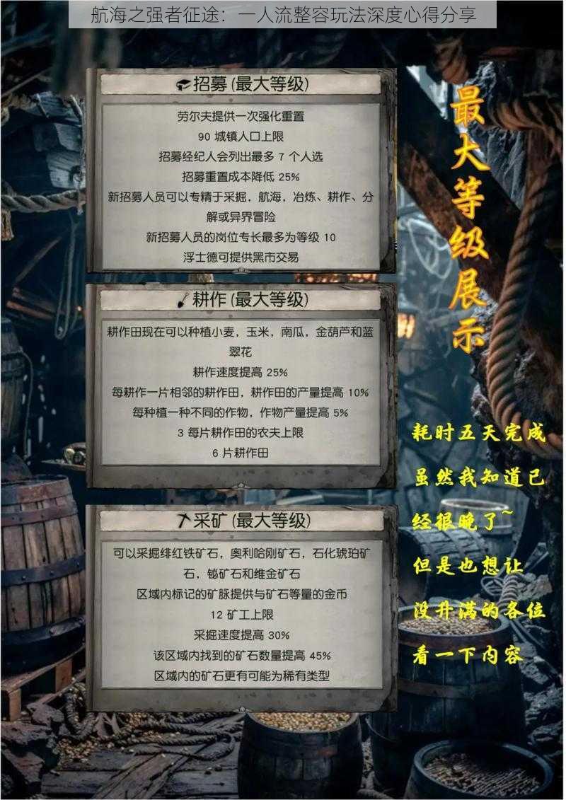 航海之强者征途:一人流整容玩法深度心得分享