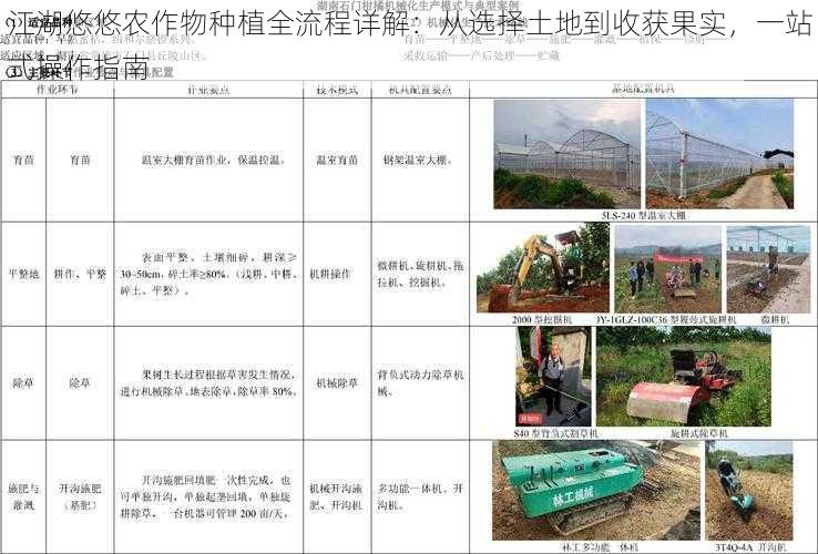 江湖悠悠农作物种植全流程详解:从选择土地到收获果实,一站式操作指南