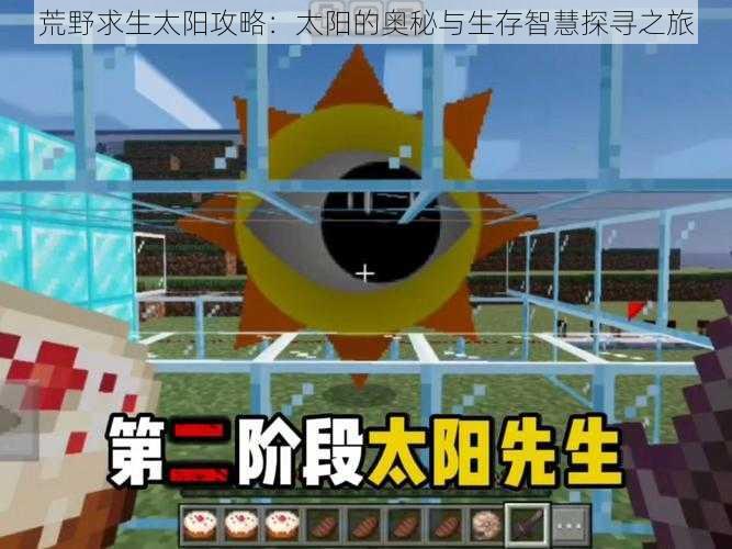 荒野求生太阳攻略:太阳的奥秘与生存智慧探寻之旅