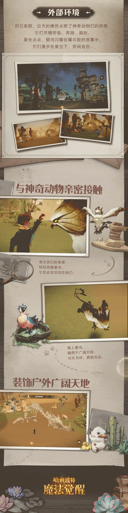 哈利波特魔法觉醒:神奇动物空间入口攻略详解:探索魔法之门,开启奇幻之旅