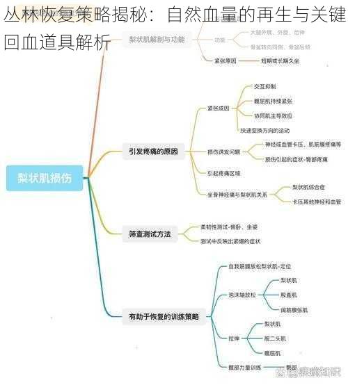 丛林恢复策略揭秘:自然血量的再生与关键回血道具解析